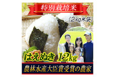 【令和5年産米】特別栽培米 はえぬき 精米2kg×6袋 山形県庄内  米 お米 ブランド米 銘柄米 備蓄 日本米 コメ ごはん ご飯 食品 山形県 F2Y-3138