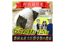 【令和5年産米】特別栽培米 ひとめぼれ 精米2kg×6袋 山形県庄内産  米 お米 ブランド米 銘柄米 備蓄 日本米 コメ ごはん ご飯 食品 山形県 F2Y-3139