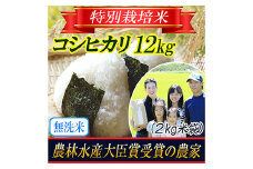 【令和5年産米】《無洗米》特別栽培米 コシヒカリ 精米2kg×6袋 山形県庄内  米 お米 ブランド米 銘柄米 備蓄 日本米 こしひかり コメ ごはん ご飯 食品 山形県 F2Y-3140