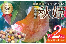 《先行予約 2025年度発送》《緊急応援企画》加藤農園の美味しいすもも「秋姫」約500g×4パック  もも モモ 桃 デザート フルーツ 果物 くだもの 果実 食品 山形県 FSY-1832