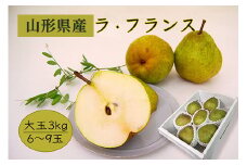 《先行予約 2025年度発送》【大玉】【山形県産】ラ・フランス3kg（6～9玉/4L～7L）  なし ナシ 梨 デザート フルーツ 果物 くだもの 果実 食品 山形県 FSY-0405