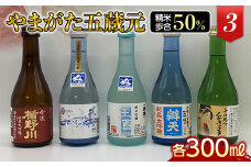 やまがた五蔵元 精米歩合50％の地酒《3》 F2Y-3108