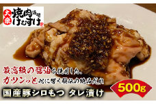 秘伝のタレ漬け！けむすけ名物シロ【国産豚シロもつ500g】 F2Y-3182