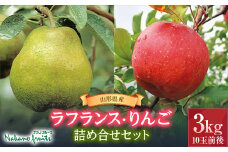 【仲野観光果樹園】《2025年先行予約》山形県産 ラ･フランスとりんごの詰め合わせセット3kg（10玉前後） 2025年11月上旬から順次発送 りんご リンゴ 林檎 デザート フルーツ 果物 くだもの 果実 食品 山形県 F2Y-3238
