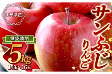 《2025年発送》サンふじりんご 約5kg FSY-0867