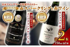 《日本ワイナリーアワード受賞》タケダワイナリー サンスフル 赤 ・ 朝日町ワイン スパークリングルージュ 赤 750ml ×各1本 F2Y-3091