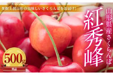 《先行予約 2026年6月中旬発送》山形県産さくらんぼ紅秀峰 秀品 2L玉 500gパック 化粧箱入り FSY-0008