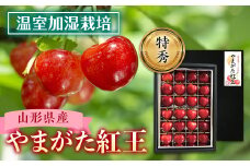 《2026年産先行受付》山形県産 温室加温栽培さくらんぼ【やまがた紅王】特秀品 FSY-0019