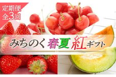 《2026年先行予約》みちのく 春夏【紅】ギフト 定期便 全3回 FSY-2306