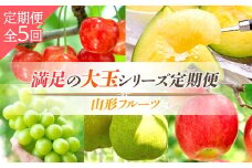 《2026年先行予約》山形フルーツ 満足の「大玉」シリーズ 定期便 全5回 FSY-2363