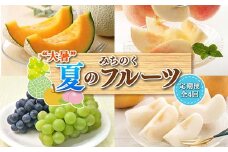 《2026年先行予約》みちのく【大暑】夏のフルーツ定期便 全4回 FSY-2389