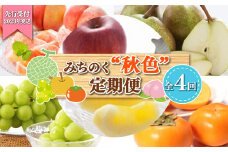 《2025年先行予約》みちのく【秋色】定期便 全4回 FSY-1883