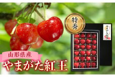 《2026年産先行受付》山形県産さくらんぼ【山形紅王 特秀品】 FSY-0020
