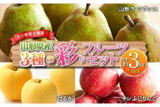 《先行予約 2025年度発送》冬の味覚を堪能！3種類の彩りフルーツセット  りんご リンゴ 林檎 デザート フルーツ 果物 くだもの 果実 食品 山形県 FSY-0136
