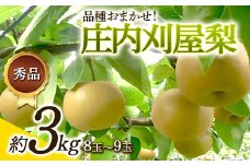 山形県産《令和6年8月下旬発送開始》品種おまかせ『庄内刈屋梨』秀品 8～9玉 約3kg  なし ナシ 梨 デザート フルーツ 果物 くだもの 果実 食品 山形県 FSY-0178