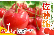 《先行予約 令和7年度産》さくらんぼ佐藤錦 L又は2Lサイズ 1kg バラ詰め FSY-0181