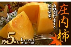 《先行予約 令和7年度産》庄内柿 約5kg Lサイズ以上  柿 かき デザート フルーツ 果物 くだもの 果実 食品 山形県 FSY-1885