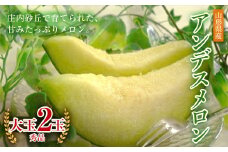 《先行予約 令和7年度産》庄内砂丘で育ったアンデスメロン 秀品 大玉2玉 FSY-0188
