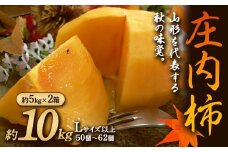 《先行予約 令和7年度産》庄内柿 約10kg Lサイズ以上  柿 かき デザート フルーツ 果物 くだもの 果実 食品 山形県 FSY-1886