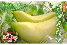 《先行予約 令和7年度産》庄内砂丘で育ったアンデスメロン 秀品 4玉又は5玉 約5kg FSY-0189