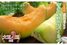《先行予約 令和7年度産》庄内砂丘メロン青肉・赤肉食べくらべ 大玉 秀品 2玉 FSY-0190