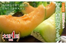 《先行予約 令和7年度産》庄内砂丘メロン青肉・赤肉食べくらべ 大玉 秀品 4玉 約5kg FSY-0191