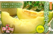 《先行予約 令和7年度産》庄内砂丘メロン青肉 秀品 4玉又は5玉 約5kg FSY-0192