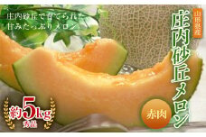 《先行予約 令和7年度産》庄内砂丘メロン赤肉 秀品 3玉又は4玉 約5kg FSY-0193