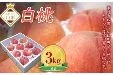 《先行予約 令和6年8月上旬発送》山形県産 白桃 秀品 3kg  もも モモ 桃 デザート フルーツ 果物 くだもの 果実 食品 山形県 FSY-0194