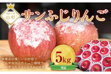 サンふじりんご 5kg (約16～20玉) ギフト箱入り 山形県産 《2025年11月中旬から発送開始》  りんご リンゴ 林檎 デザート フルーツ 果物 くだもの 果実 食品 山形県 FSY-0196