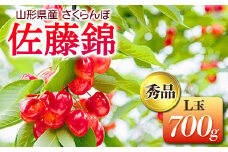 《先行予約 2026年発送》山形産さくらんぼ 佐藤錦 秀品L玉700g FSY-0169
