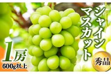 《先行予約 2025年発送》～秋のご褒美～シャインマスカット1房（600g以上）  マスカット ぶどう ブドウ 葡萄 デザート フルーツ 果物 くだもの 果実 食品 山形県 FSY-0175