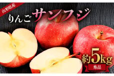 《先行予約 2024年度発送》山形県産 りんご(サンフジ) 秀品 約5kg  りんご リンゴ 林檎 デザート フルーツ 果物 くだもの 果実 食品 山形県 FSY-0378