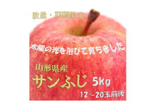 《先行予約 2024年度発送》 ※数量・期間限定※ 山形県産りんご サンふじ 秀品 約5kg 12玉～20玉前後  りんご リンゴ 林檎 デザート フルーツ 果物 くだもの 果実 食品 山形県 FSY-0367