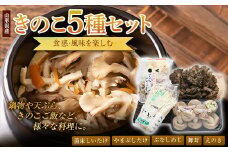 山形県産 食感・風味を楽しむ【きのこ5種セット】 F2Y-3325