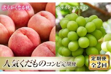 《先行予約 2025年発送》人気くだものコンビ！定期便～ももとシャインマスカット～  もも モモ 桃 デザート フルーツ 果物 くだもの 果実 食品 山形県 FSY-0213