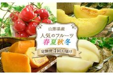 《先行予約 令和7年度産》人気のフルーツ 春夏秋冬定期便 4回お届け FSY-1887