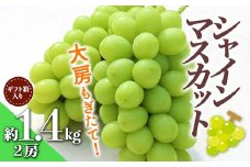 【先行受付 令和7年度発送】大房もぎたてシャインマスカット2房 約1.4kg ギフト箱入り  マスカット ぶどう ブドウ 葡萄 デザート フルーツ 果物 くだもの 果実 食品 山形県 FSY-0344