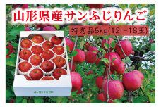 《先行予約 2025年度発送》【山形県産】サンふじりんご特秀品5kg  りんご リンゴ 林檎 デザート フルーツ 果物 くだもの 果実 食品 山形県 FSY-0406