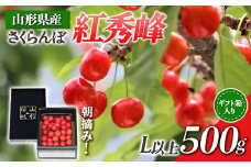 【先行受付 令和8年度発送】山形県産 朝摘みさくらんぼ 紅秀峰500g ギフト箱入り FSY-0346