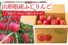 《先行予約 2024年度発送》【ご家庭用】山形県産のサンふじりんご10kg（玉数おまかせ）  りんご リンゴ 林檎 デザート フルーツ 果物 くだもの 果実 食品 山形県 FSY-0409