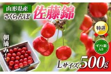 【先行受付 令和8年度発送】山形県産 朝摘みさくらんぼ特選佐藤錦500g ギフト箱入り FSY-0347