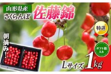 【先行受付 令和8年度発送】山形県産 朝摘みさくらんぼ 特選佐藤錦1kg ギフト箱入り FSY-0348