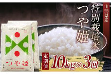【先行予約 2024年10月発送】山形県産特別栽培米つや姫10kg（5kg×2)　全3回 F2Y-3918