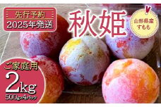 《先行予約》2025年度発送 山形県産 すもも【秋姫】 2kg（500g×4パック） ご家庭用 FSY-0350