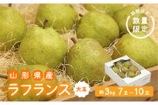 《先行予約 2025年度発送》【王将果樹園】ラフランス大玉3kg～生産量日本一のまちより～  なし ナシ 梨 デザート フルーツ 果物 くだもの 果実 食品 山形県 FSY-1899