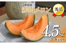 《先行予約 2026年7月上旬発送》山形県産 赤肉メロン 4.5kg以上 (約3～6玉入り) FSY-2379