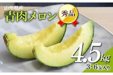 《先行予約 2026年7月上旬発送》山形県産 青肉メロン 4.5kg以上 （約3～6玉入り） FSY-2380
