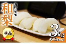 《先行予約 2025年9月中旬発送》山形県 庄内産 和梨 3kg  なし ナシ 梨 デザート フルーツ 果物 くだもの 果実 食品 山形県 FSY-0457