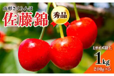 【先行予約 2025年度発送】☆山形さくらんぼ佐藤錦☆秀品Lサイズ以上1kg（200g×5） FSY-0369